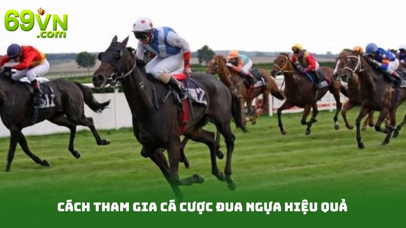 Cá Cược Đua Ngựa Online - Đặt Cược Thông Minh, Thu Lợi Cao 3 Cách Tham Gia Cá Cược Đua Ngựa Hiệu Quả